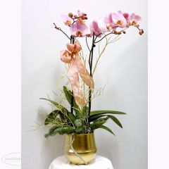 Pianta fiorita di Orchidea Phalaenopsis rosa in vaso di ottone lucido